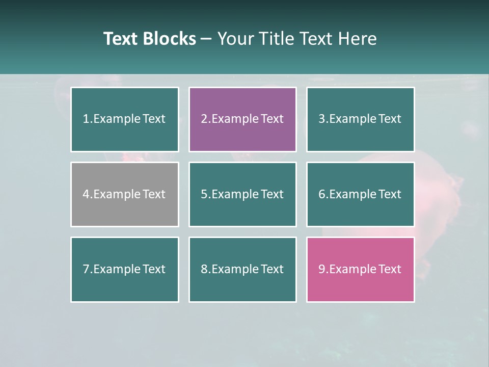 Jellyfish PowerPoint Template