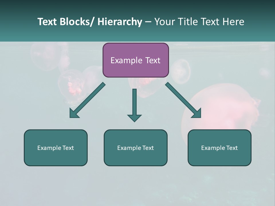 Jellyfish PowerPoint Template