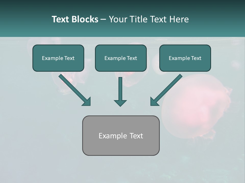 Jellyfish PowerPoint Template