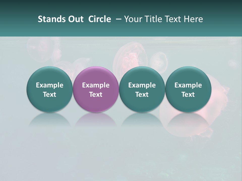 Jellyfish PowerPoint Template