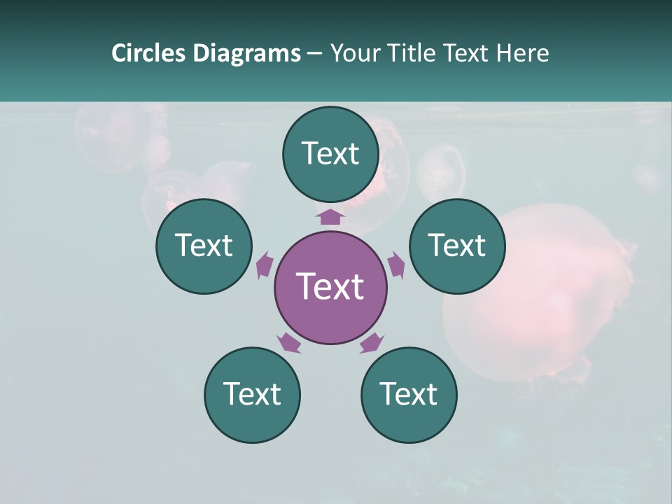 Jellyfish PowerPoint Template