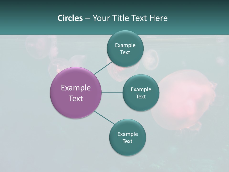 Jellyfish PowerPoint Template