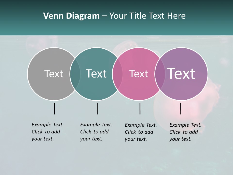 Jellyfish PowerPoint Template