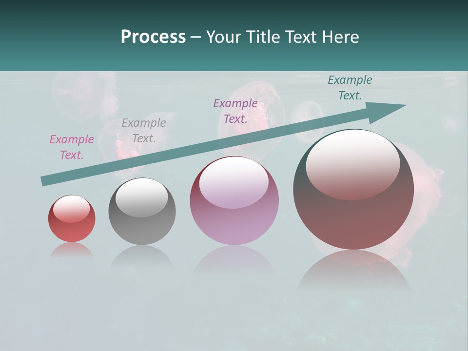 Jellyfish PowerPoint Template
