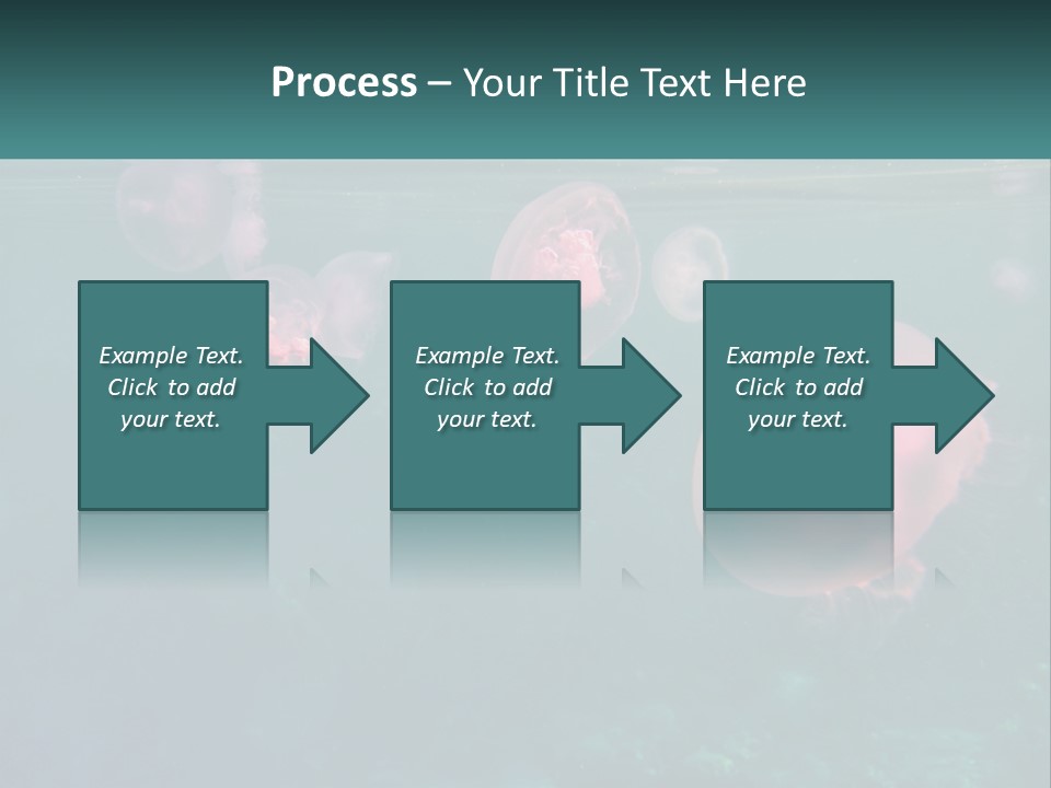 Jellyfish PowerPoint Template