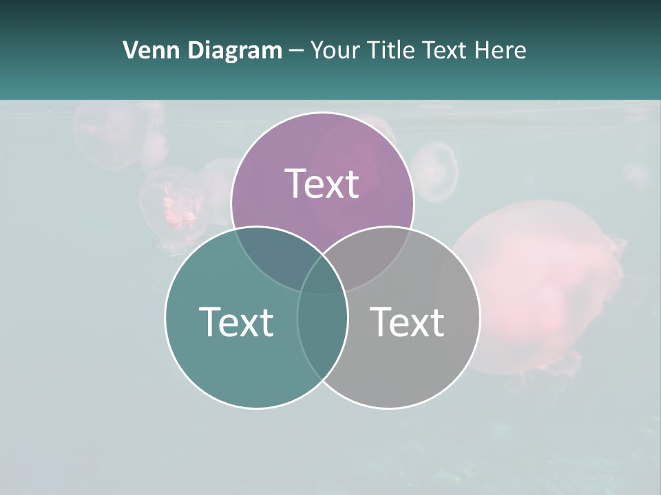 Jellyfish PowerPoint Template