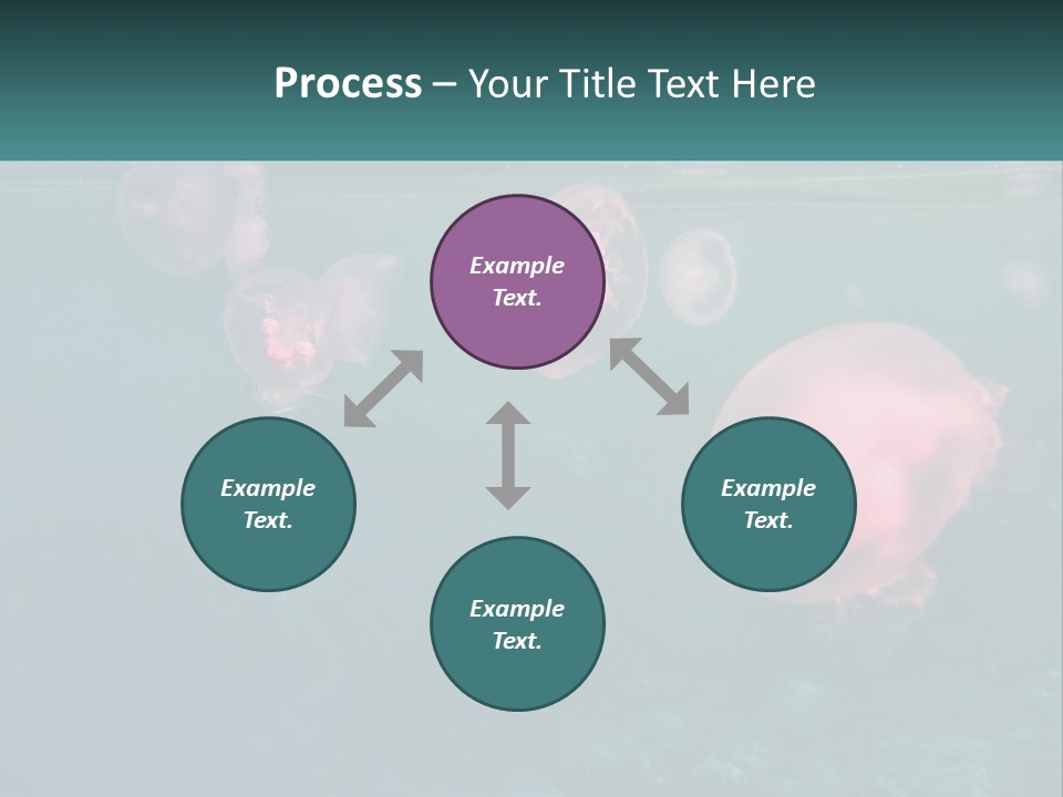 Jellyfish PowerPoint Template
