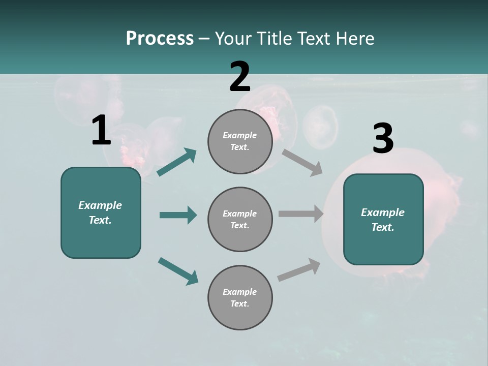 Jellyfish PowerPoint Template