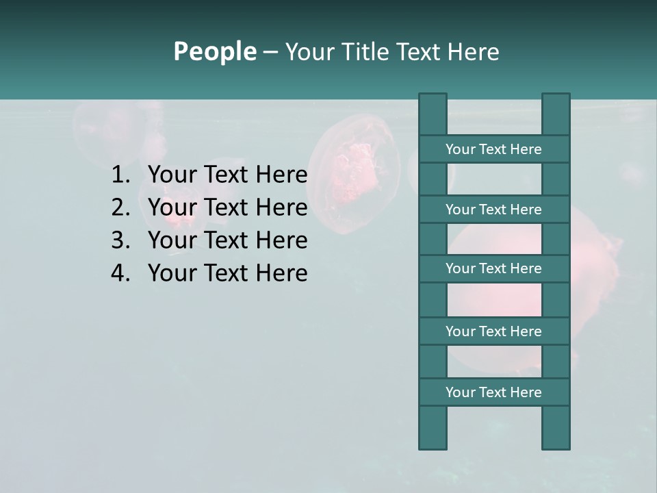 Jellyfish PowerPoint Template