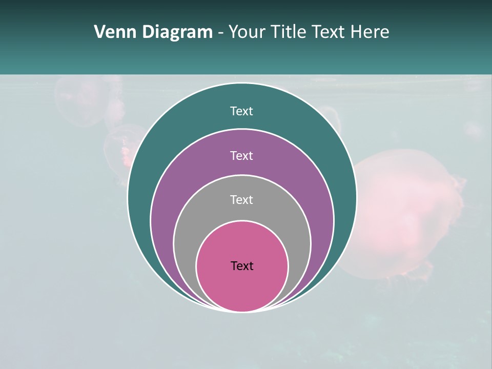 Jellyfish PowerPoint Template