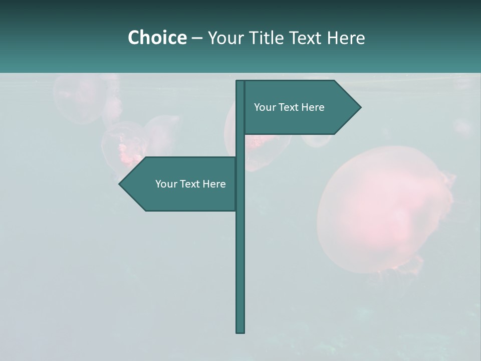 Jellyfish PowerPoint Template