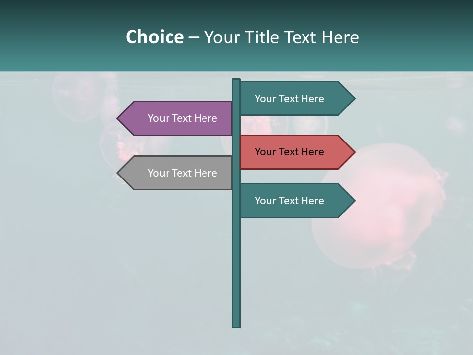 Jellyfish PowerPoint Template