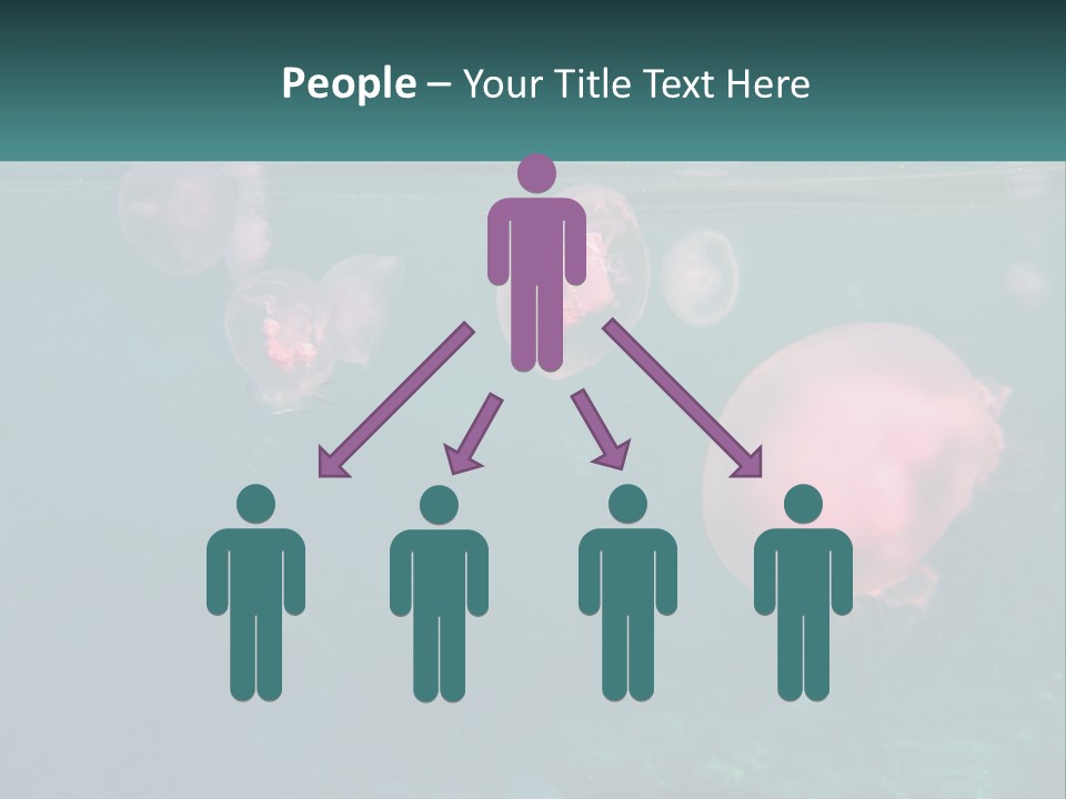 Jellyfish PowerPoint Template