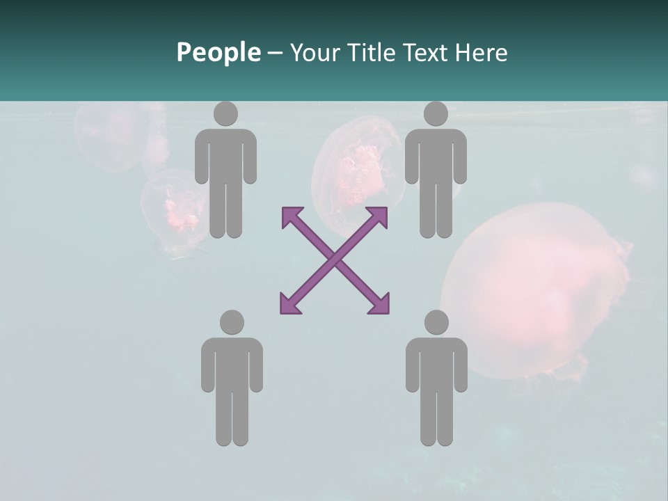 Jellyfish PowerPoint Template