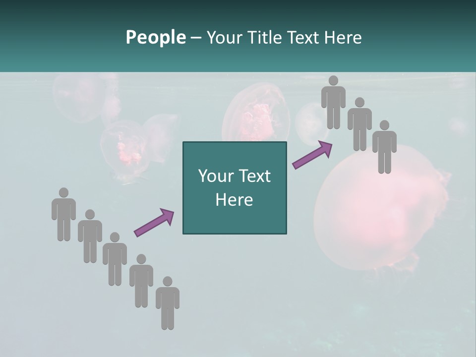Jellyfish PowerPoint Template