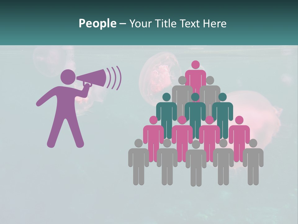 Jellyfish PowerPoint Template