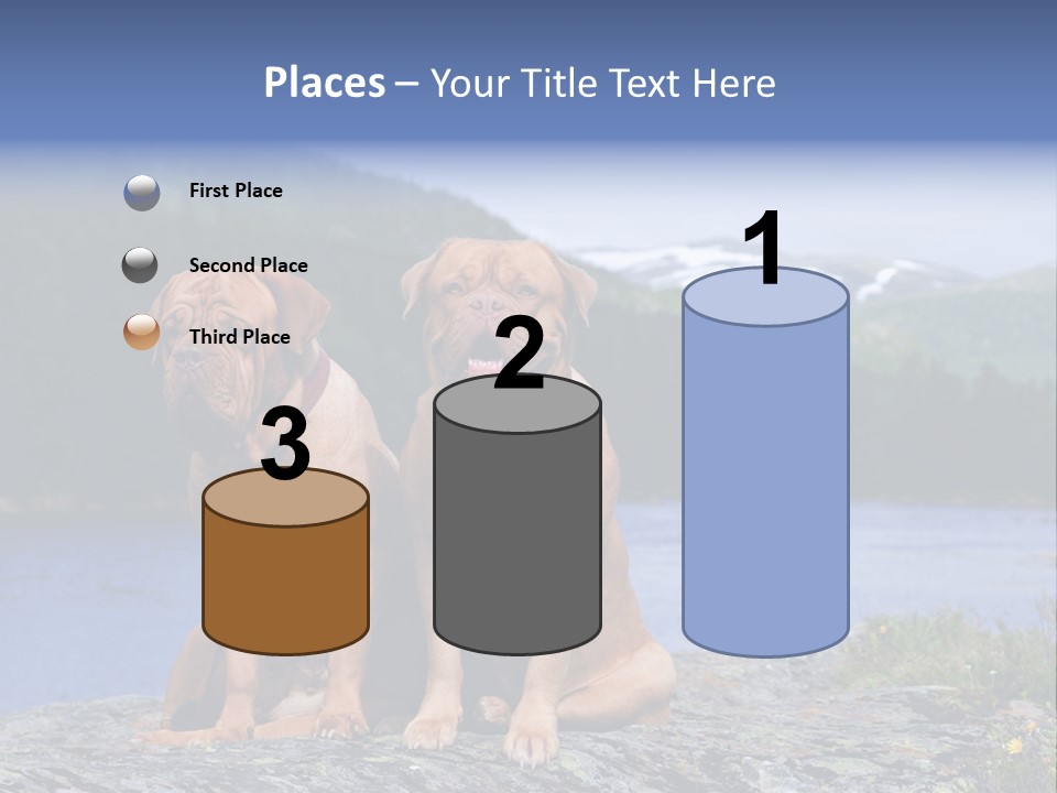 Two Dogs On The River Bank PowerPoint Template