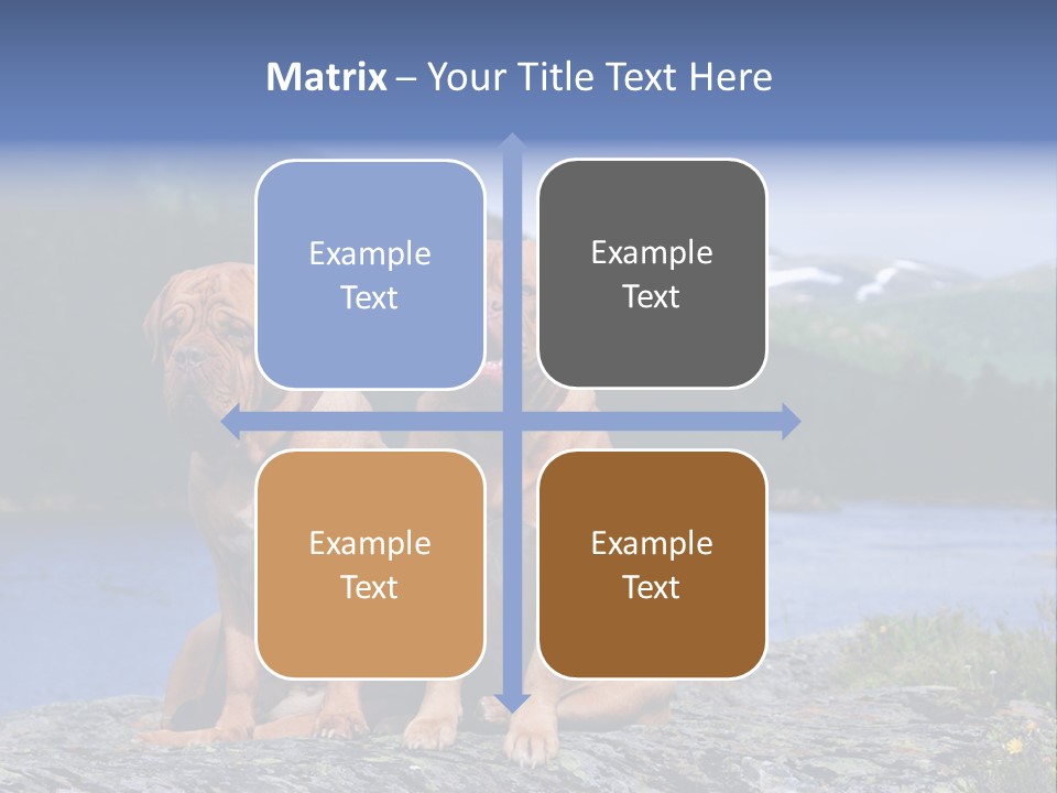 Two Dogs On The River Bank PowerPoint Template