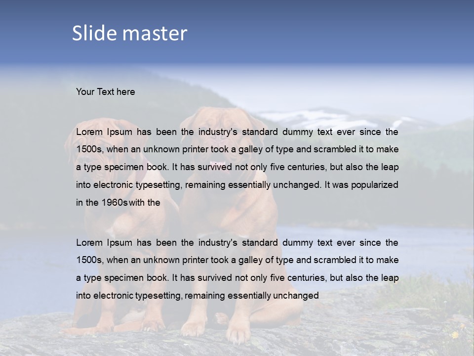 Two Dogs On The River Bank PowerPoint Template
