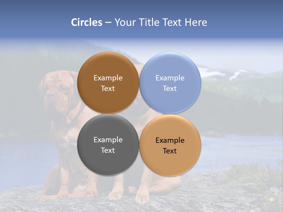 Two Dogs On The River Bank PowerPoint Template