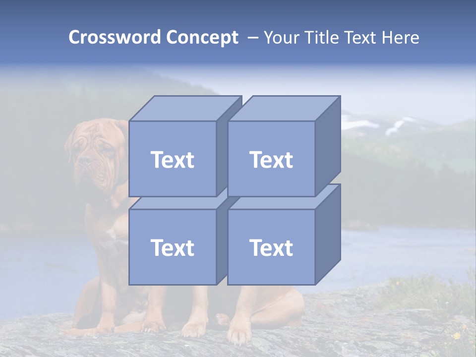 Two Dogs On The River Bank PowerPoint Template