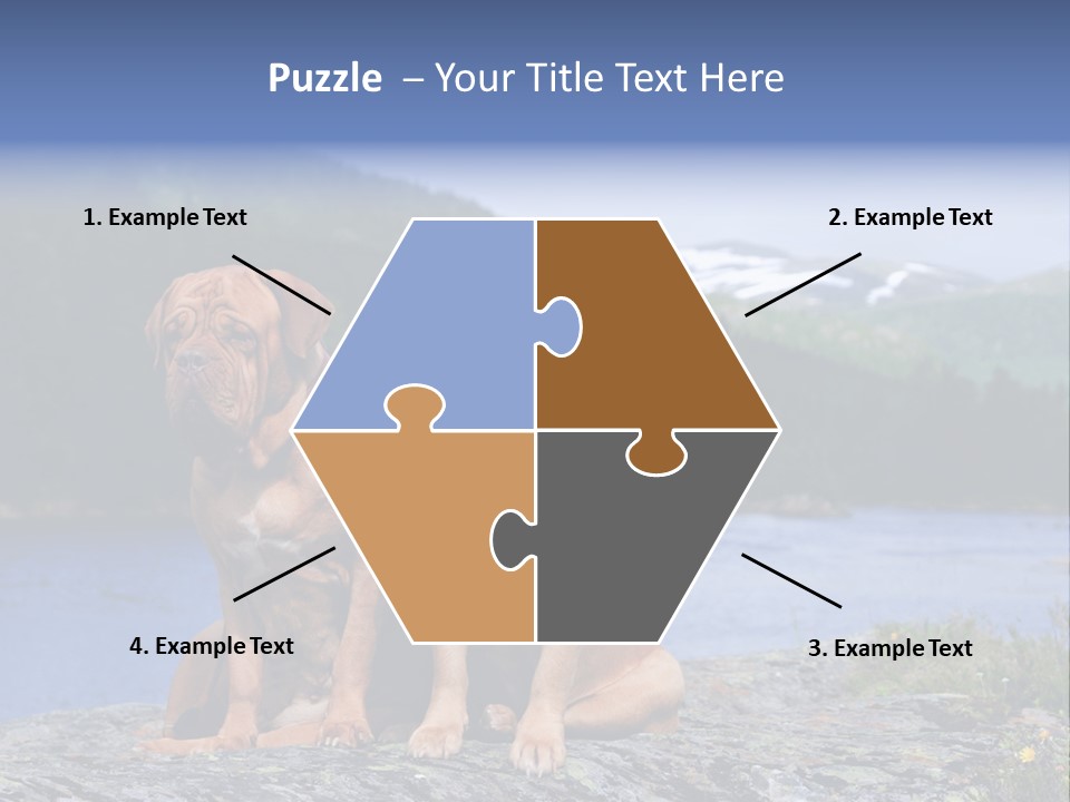 Two Dogs On The River Bank PowerPoint Template