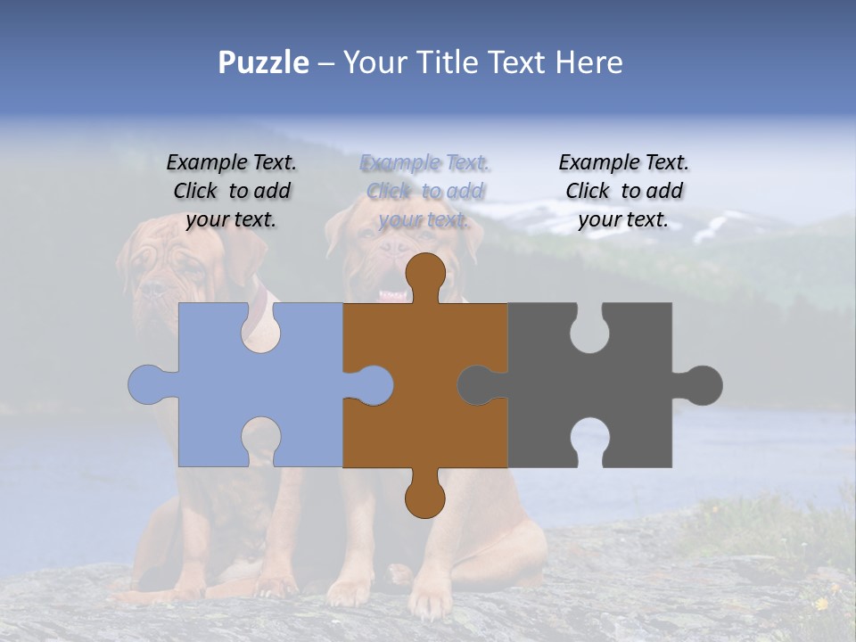 Two Dogs On The River Bank PowerPoint Template