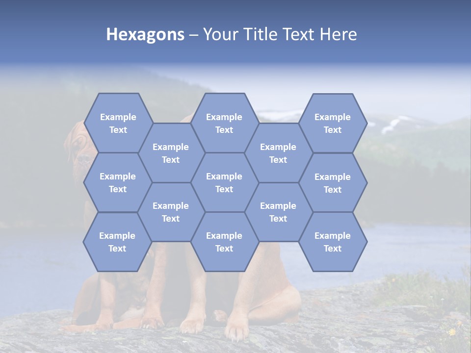 Two Dogs On The River Bank PowerPoint Template