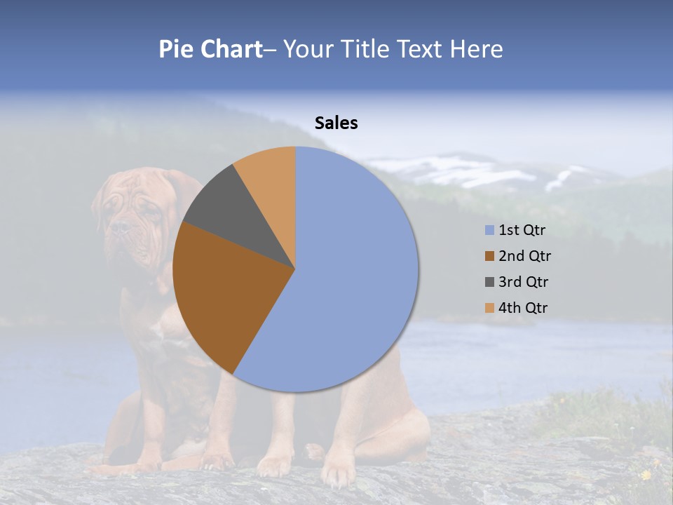 Two Dogs On The River Bank PowerPoint Template