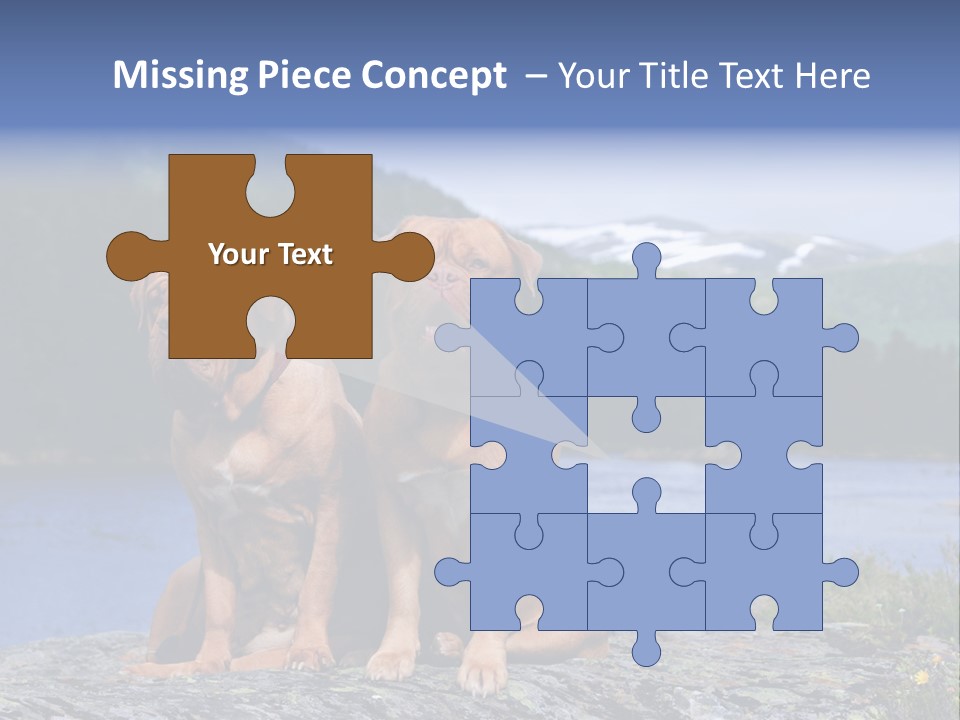 Two Dogs On The River Bank PowerPoint Template