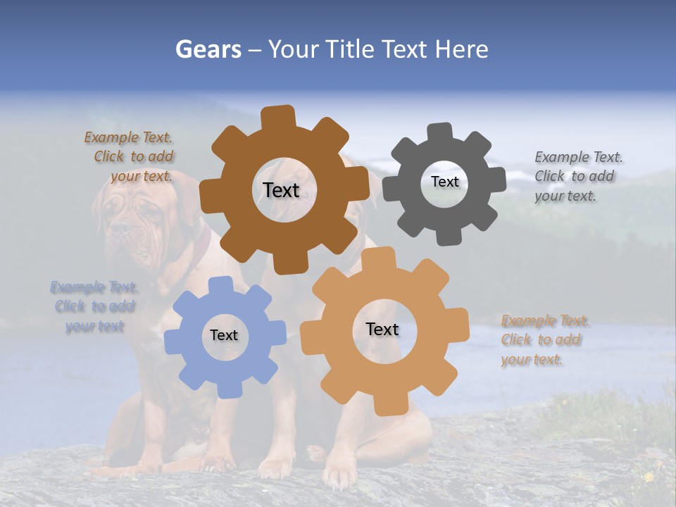 Two Dogs On The River Bank PowerPoint Template