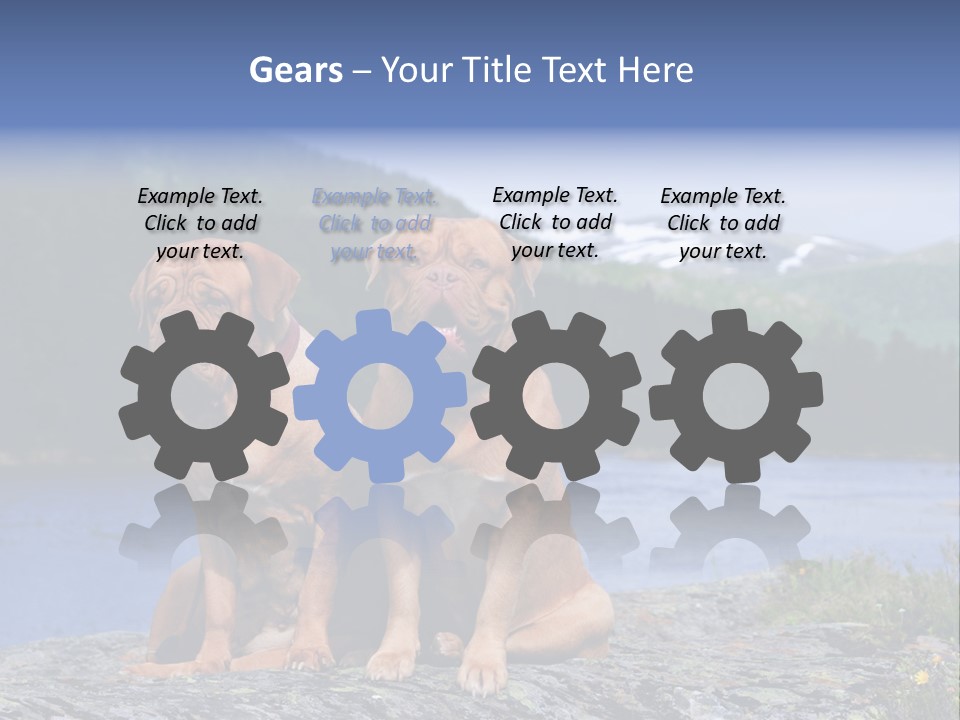 Two Dogs On The River Bank PowerPoint Template