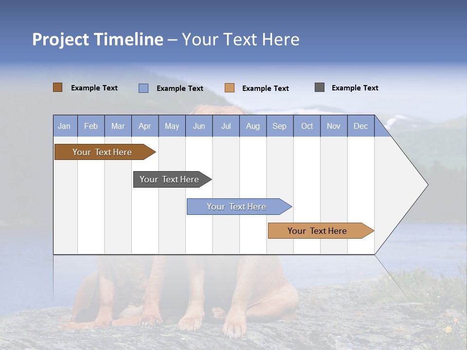 Two Dogs On The River Bank PowerPoint Template