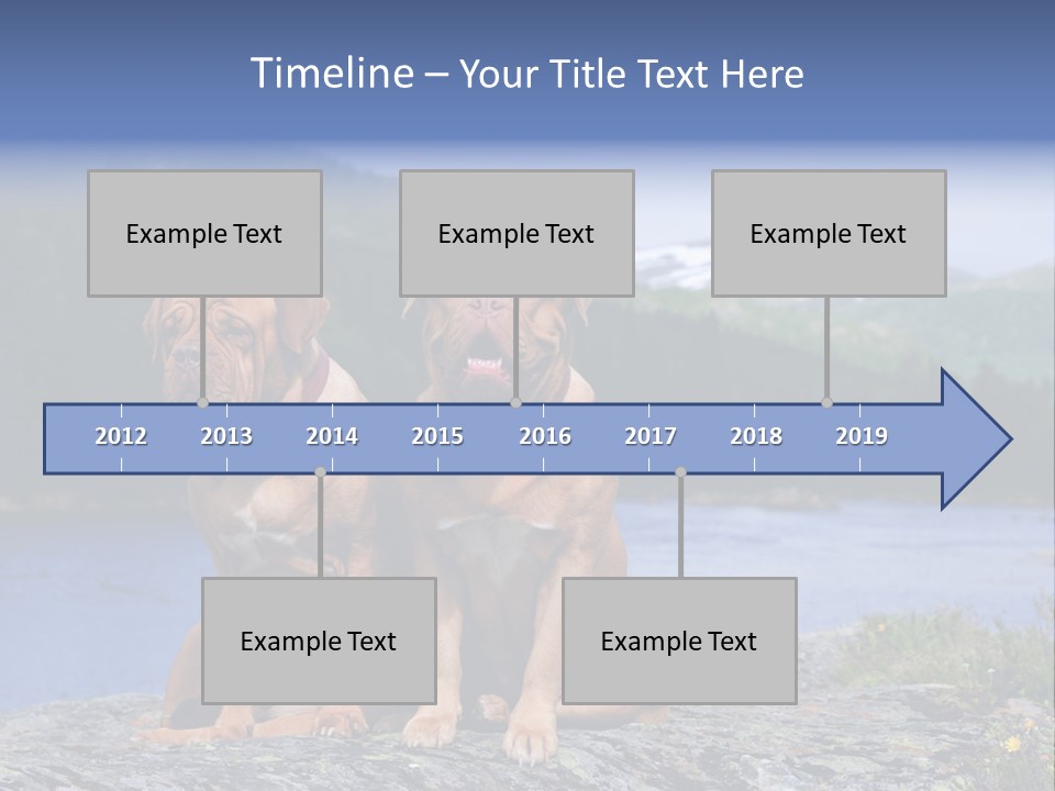 Two Dogs On The River Bank PowerPoint Template