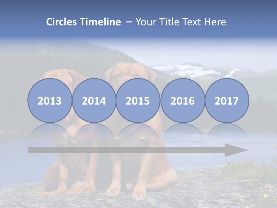 Two Dogs On The River Bank PowerPoint Template