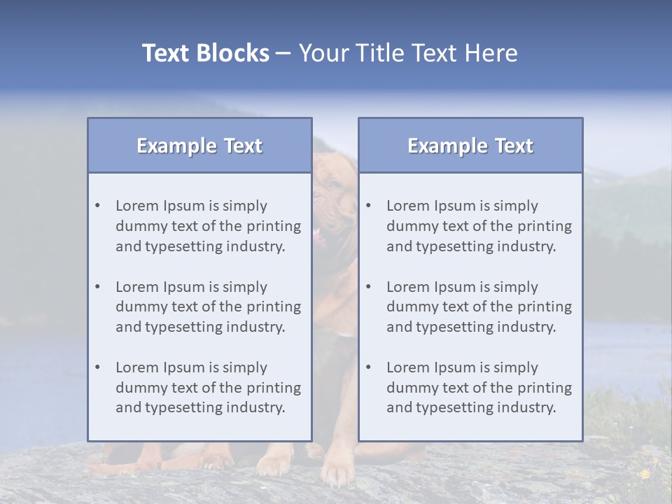 Two Dogs On The River Bank PowerPoint Template