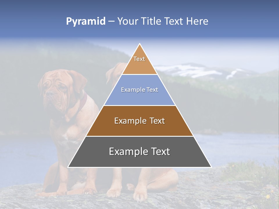 Two Dogs On The River Bank PowerPoint Template