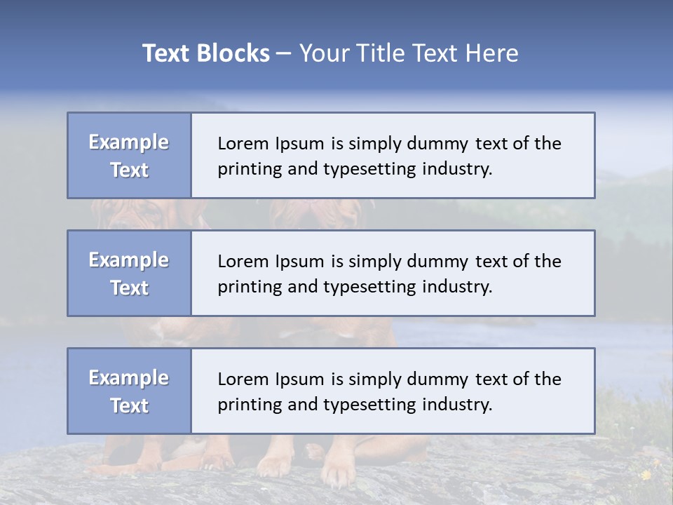 Two Dogs On The River Bank PowerPoint Template