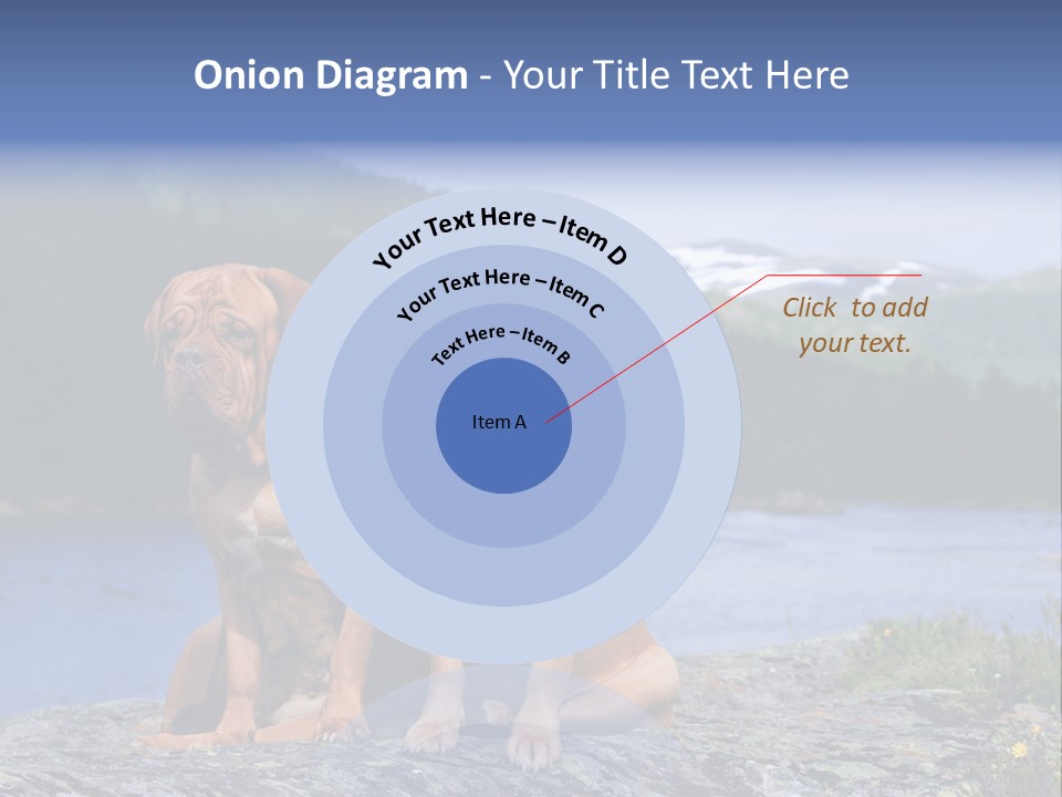 Two Dogs On The River Bank PowerPoint Template