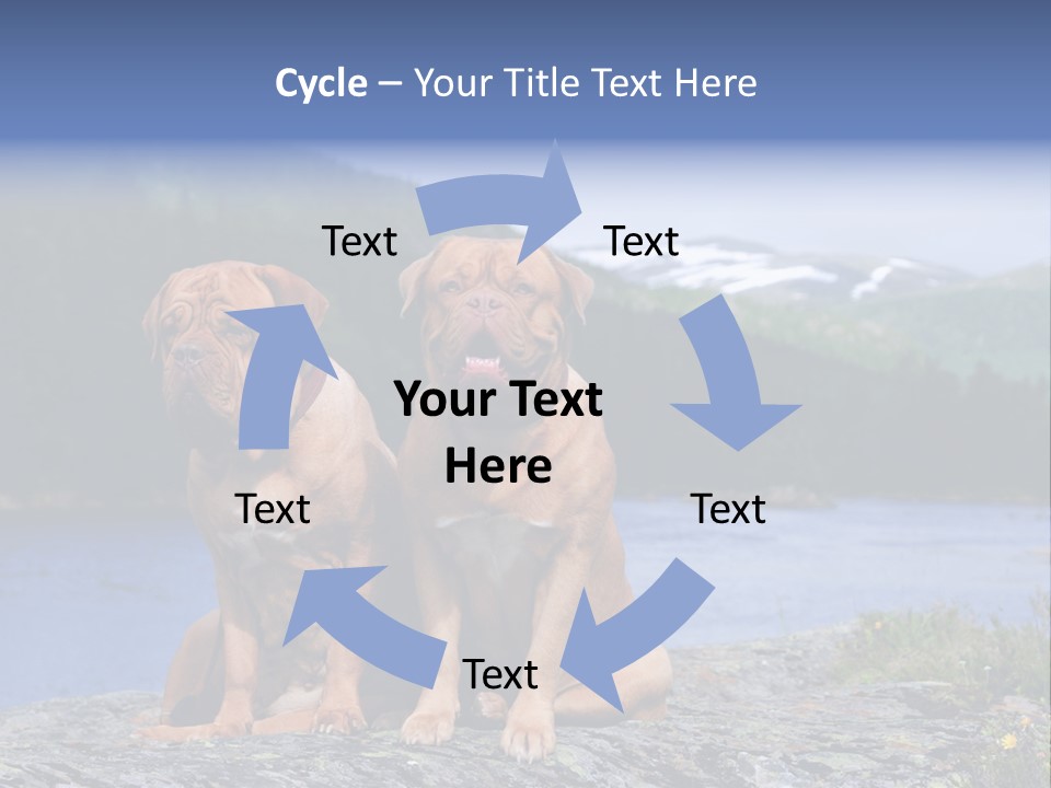 Two Dogs On The River Bank PowerPoint Template