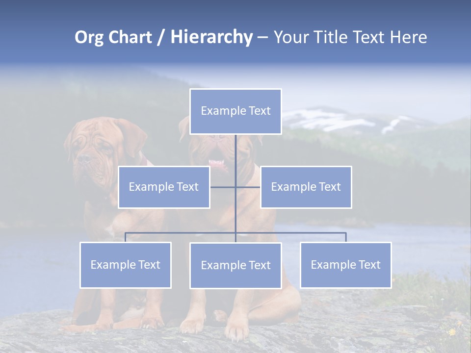 Two Dogs On The River Bank PowerPoint Template