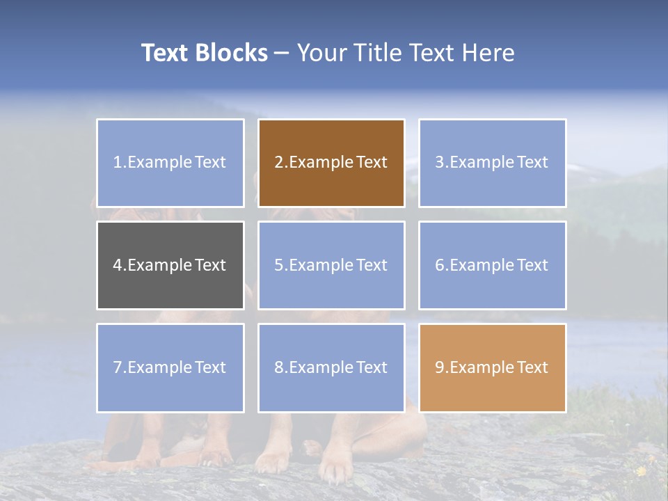 Two Dogs On The River Bank PowerPoint Template