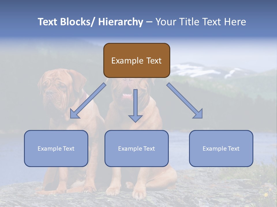 Two Dogs On The River Bank PowerPoint Template