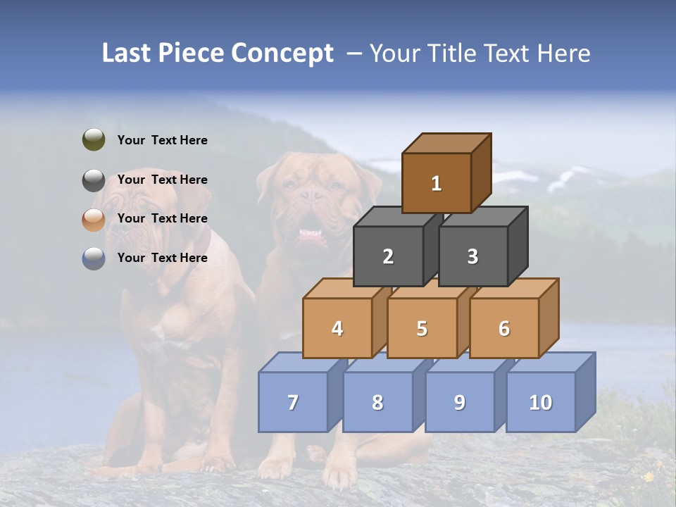 Two Dogs On The River Bank PowerPoint Template