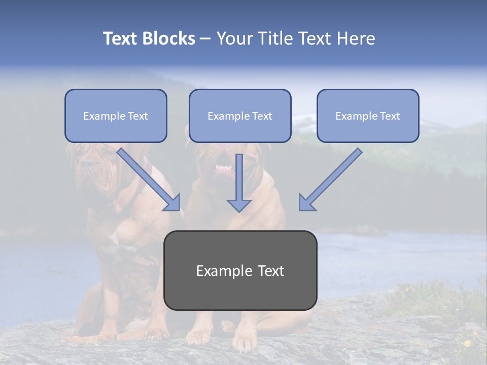 Two Dogs On The River Bank PowerPoint Template