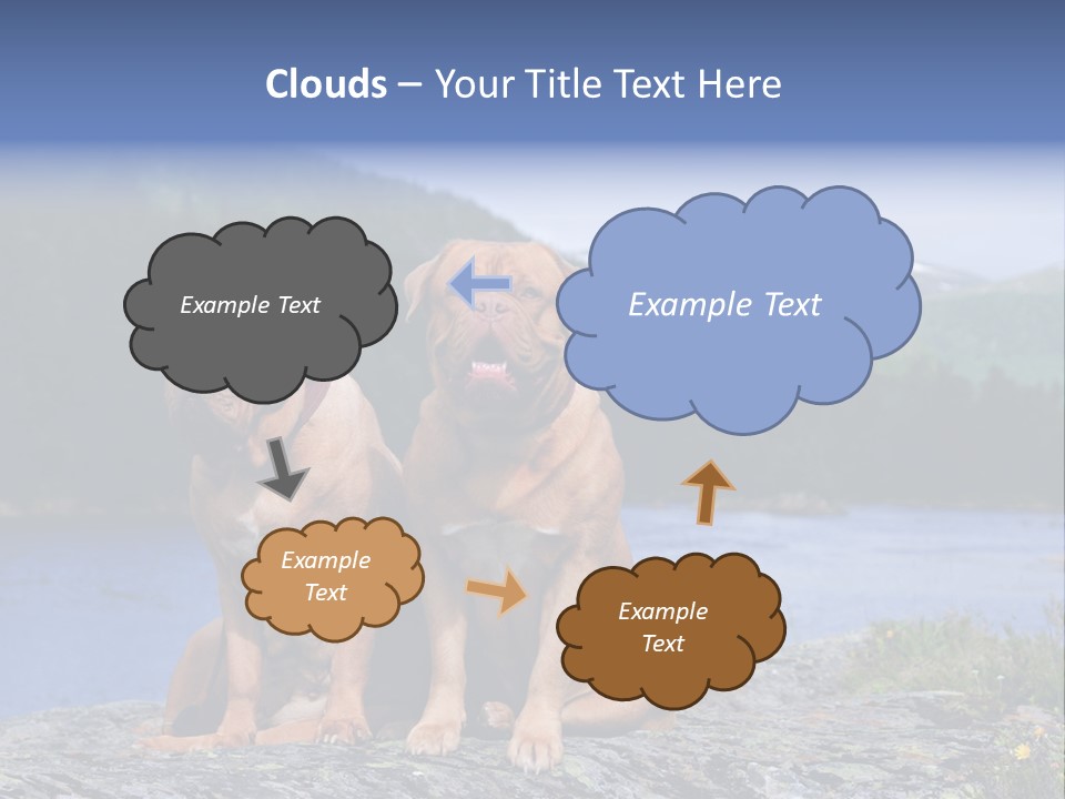 Two Dogs On The River Bank PowerPoint Template