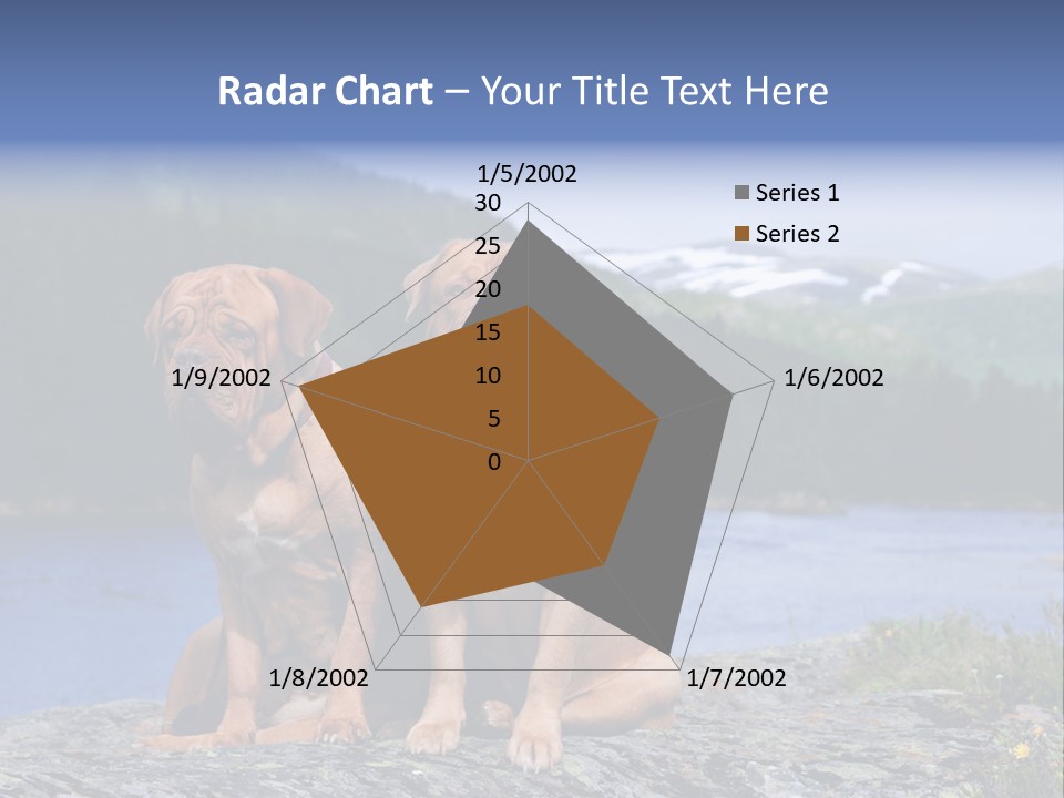 Two Dogs On The River Bank PowerPoint Template