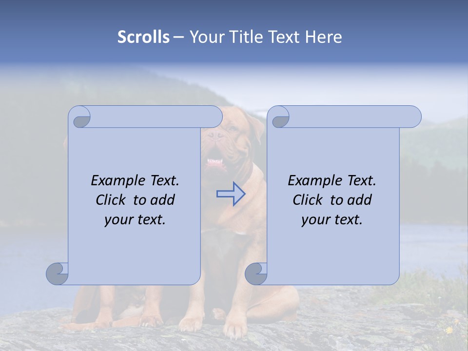 Two Dogs On The River Bank PowerPoint Template