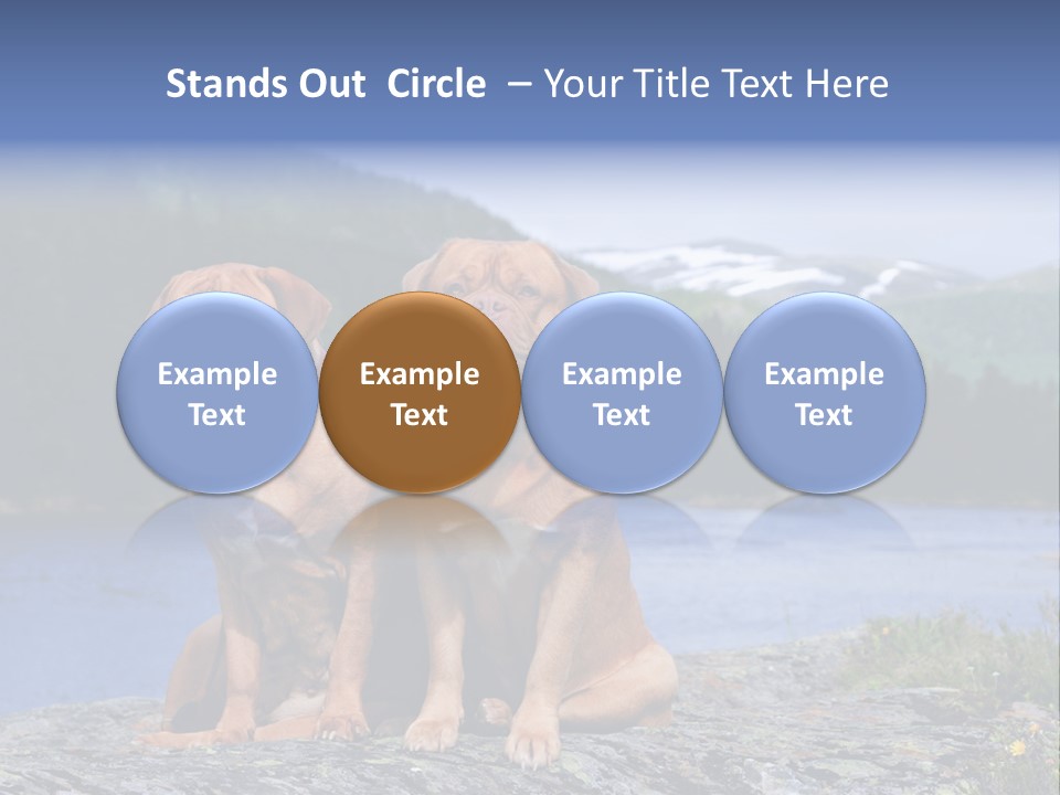 Two Dogs On The River Bank PowerPoint Template