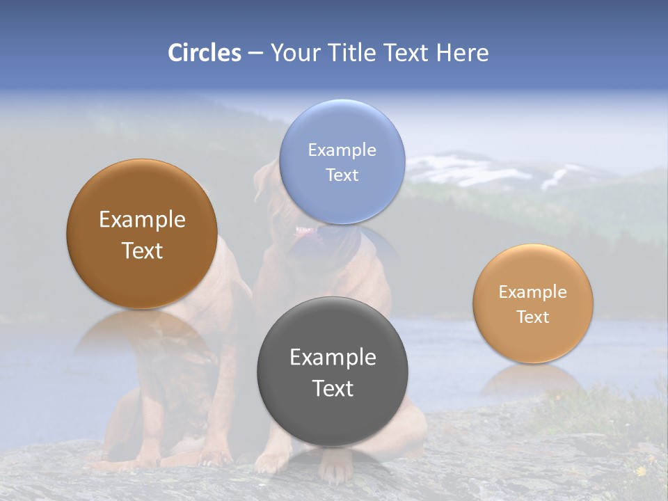 Two Dogs On The River Bank PowerPoint Template